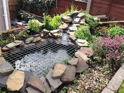 plants for ponds rock and water features Kindle Editon